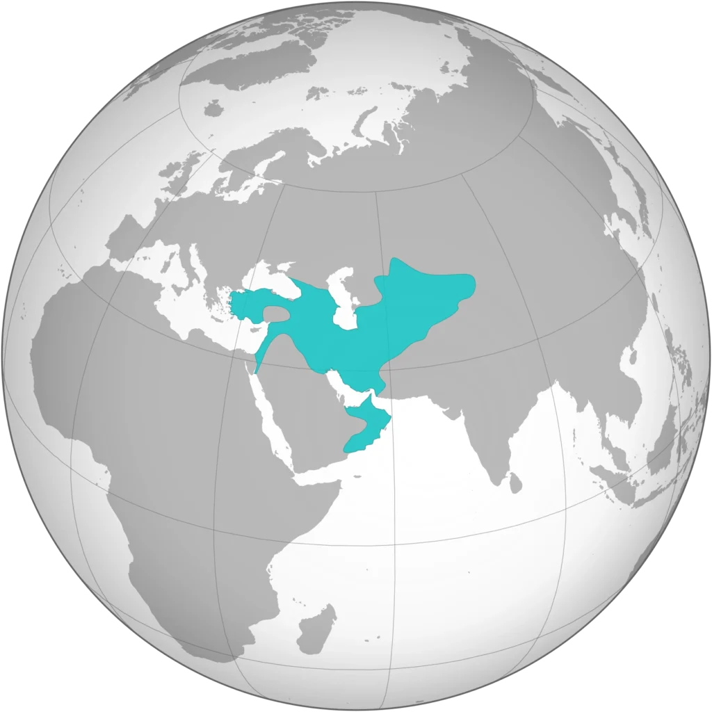Brief History About Turkey: Seljuks